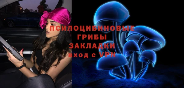 apvp Балахна