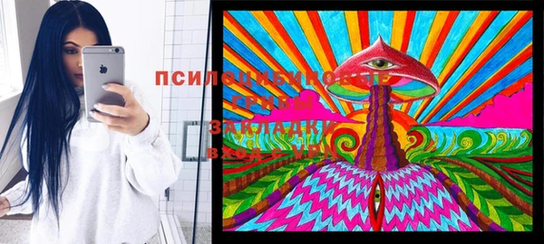 apvp Балахна