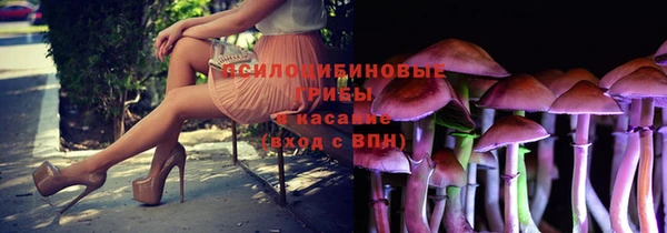 apvp Балахна