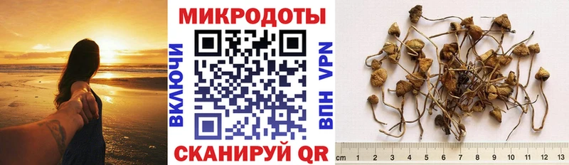 Псилоцибиновые грибы прущие грибы  где можно купить   Задонск 